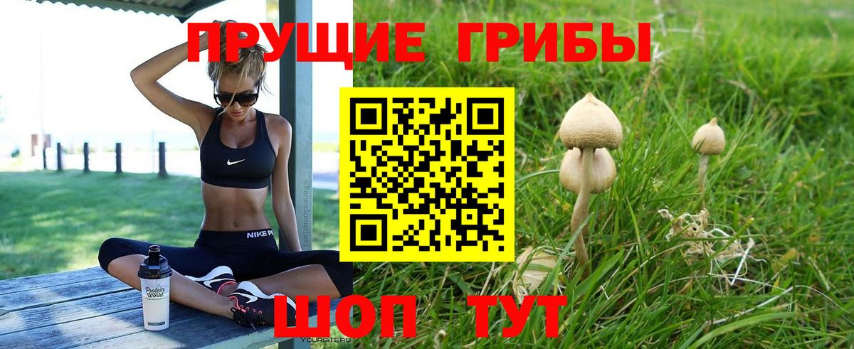Копейск  Псилоцибиновые грибы ЛСД  купить   Вход с VPN 